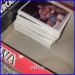 1988 Wonderama NWA Wrestling Cards Wax Box 48 Packs Sealed Ric Flair Sting WWE 2