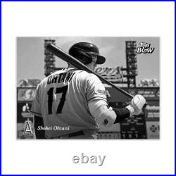2023 Topps Black & White Sealed Baseball Box Online Exclusive